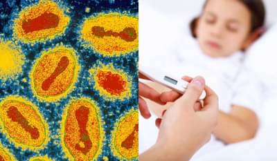 चांदीपुरा व्हायरसची गुजरातमध्ये दहशत, लहान मुलांना धोका; महाराष्ट्रात आढळला होता पहिला रुग्ण