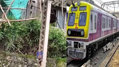 Central Railway Update : ओव्हरहेड वायर वर बांबू पडला, मध्य रेल्वेच्या प्रवाशांना मनस्ताप देणारी बातमी, VIDEO