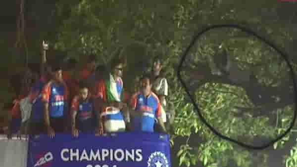 Team India: टीम इंडियासाठी वाटेल ते! रोहितसेनेला पाहण्यासाठी पठ्ठ्याची झाडावरच फिल्डिंग