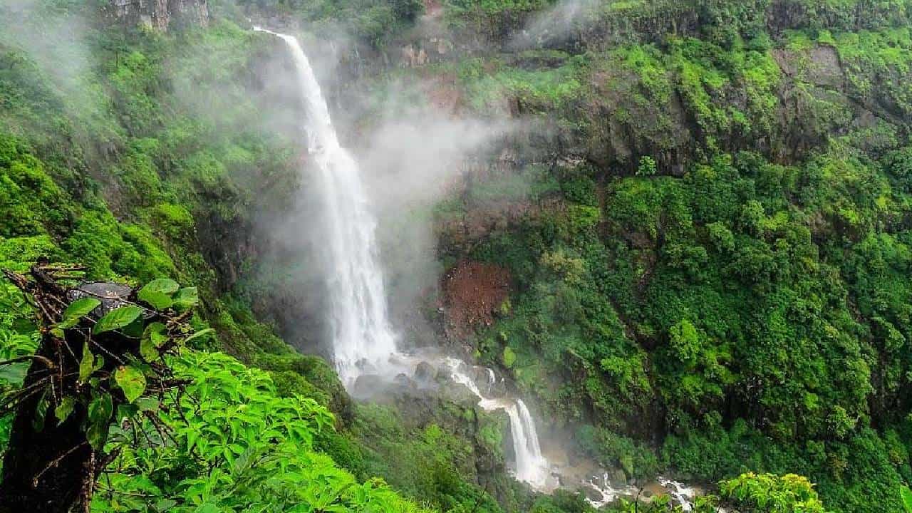 दाट धुकं, फेसाळणारे धबधबे अन् हिरवागर्द निसर्ग... महाबळेश्वर येथील 'या' 12 पॉईंटवर पर्यटकांना बंदी, कारण काय?