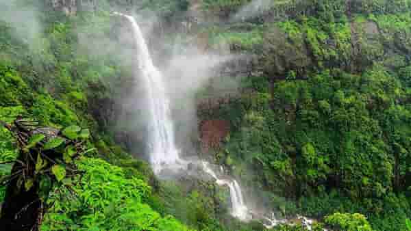 दाट धुकं, फेसाळणारे धबधबे अन् हिरवागर्द निसर्ग… महाबळेश्वर येथील ‘या’ 12 पॉईंटवर पर्यटकांना बंदी, कारण काय?