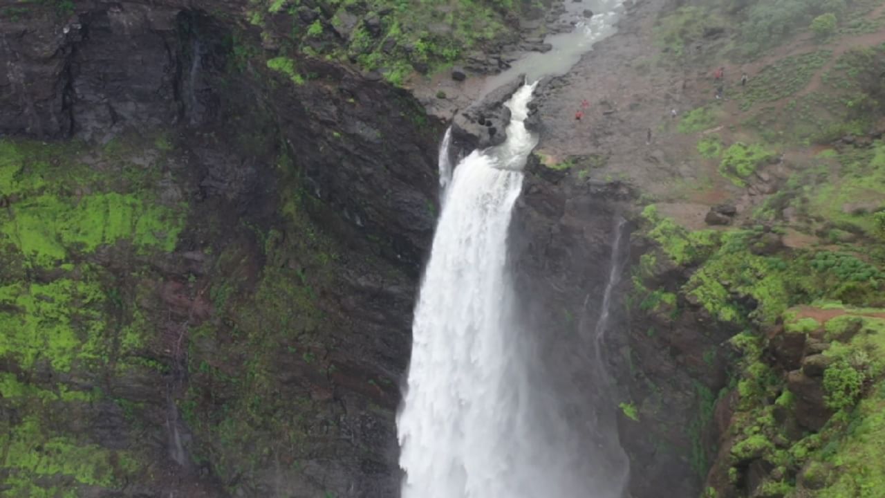 Malshej Ghat Drone view : हिरवळ, दाट धुके अन् बेफाम कोसळणारा धबधबा... माळशेज घाटातील हे सौंदर्य तुम्हाला नक्कीच खुणावेल