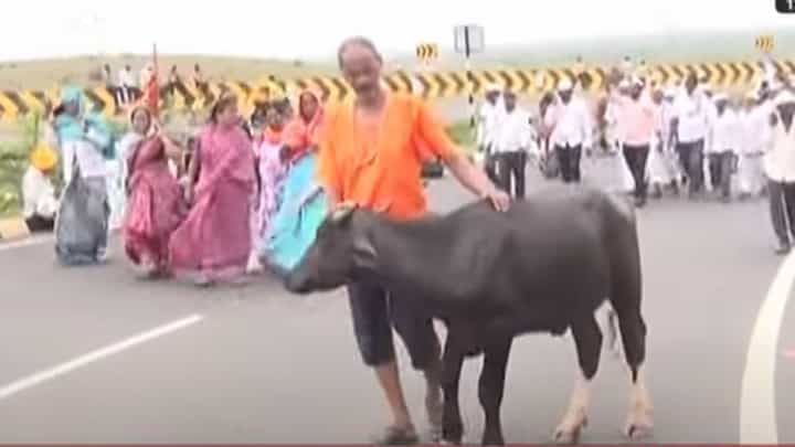 संदेह गमला... रेडा कैसा बोलविला... जगद्गुरु तुकोबांच्या पालखीत चालणारा रेडा पाहिला काय? संदेह गमला... रेडा कैसा बोलविला... जगद्गुरु तुकोबांच्या पालखीत चालणारा रेडा पाहिला काय?