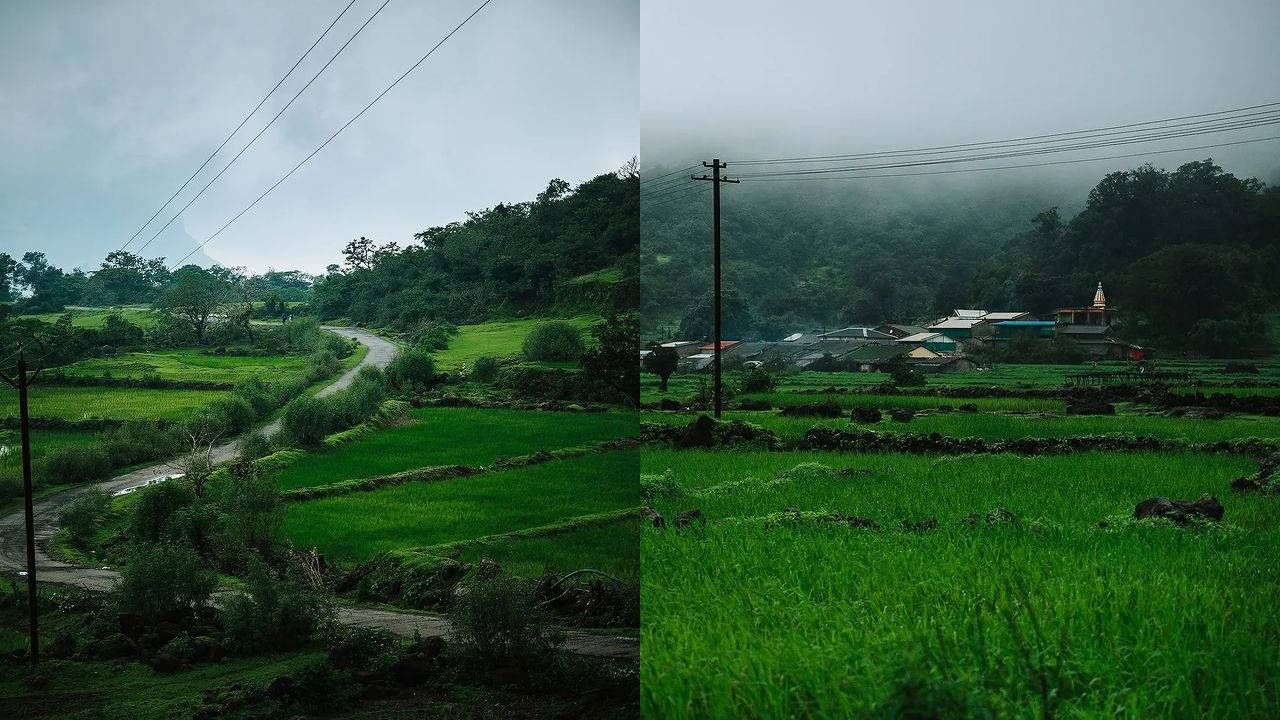 पावसाळा सुरु झाला की ट्रेकर्स अन् पर्यटकांची पावलं आपोआपच सह्याद्रीच्या डोंगररांगांकडे वळतात. इथला हिरवागार निसर्ग अन् पावसात खुलणारं सौंदर्य पर्यटकांना आकर्षित करतं. 