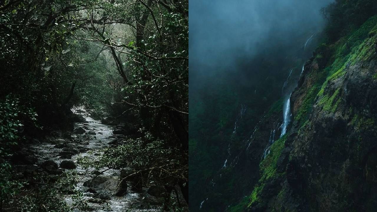 हिरव्यागार डोंगररांगामधून खळाळत वाहणारे झरे... अन् त्यामुळे निनादणारा आवाज अनुभवनं म्हणजे स्वर्ग सुखच... हिरवागार शालू नेसलेले डोंगर, धबधब्यांच्या पांढ-या शुभ्र फेसाळ माळा गळ्यात घालून सह्यद्रीच्या डोंगर रांगा मिरवत असतात. 