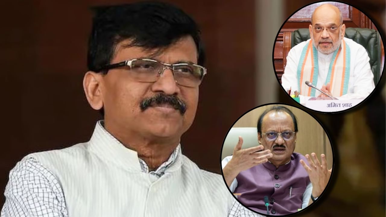 दिल्लीत विष्णूचे तेरावे अवतार अन् बारामतीत... संजय राऊतांचा सणसणीत टोला दिल्लीत विष्णूचे तेरावे अवतार अन् बारामतीत... संजय राऊतांचा सणसणीत टोला