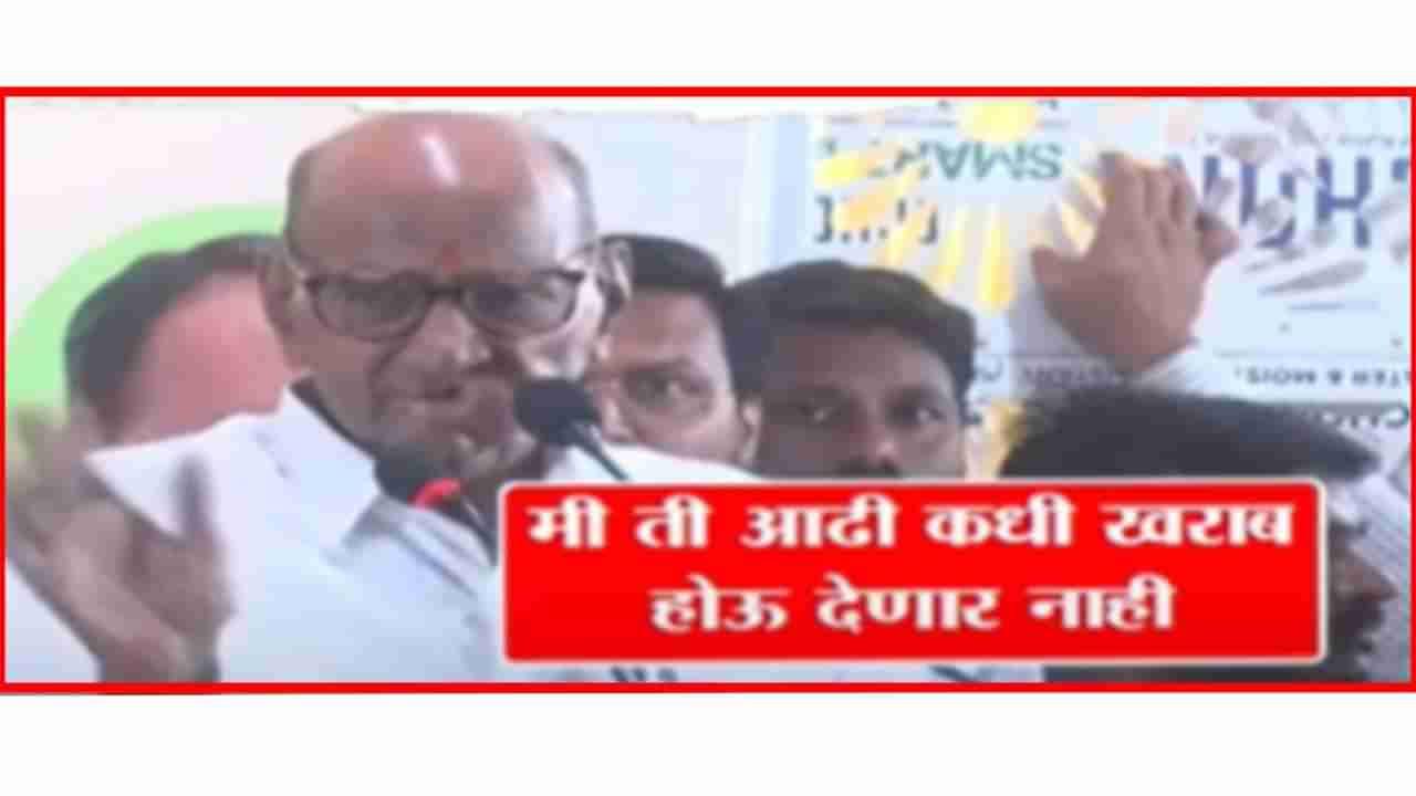 Sharad Pawar : काळजी करु नका, मी ती आढी कधी खराब होऊ देणार नाही, विधानसभा निवडणुकीपूर्वी शरद पवार करणार सर्जिकल स्ट्राईक?