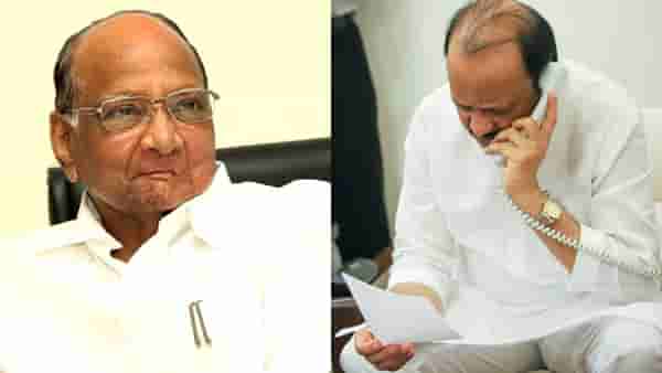 Sharad Pawar : अजितदादांना पक्षात घेणार का ?; शरद पवार यांचं एका वाक्यात उत्तर काय ?