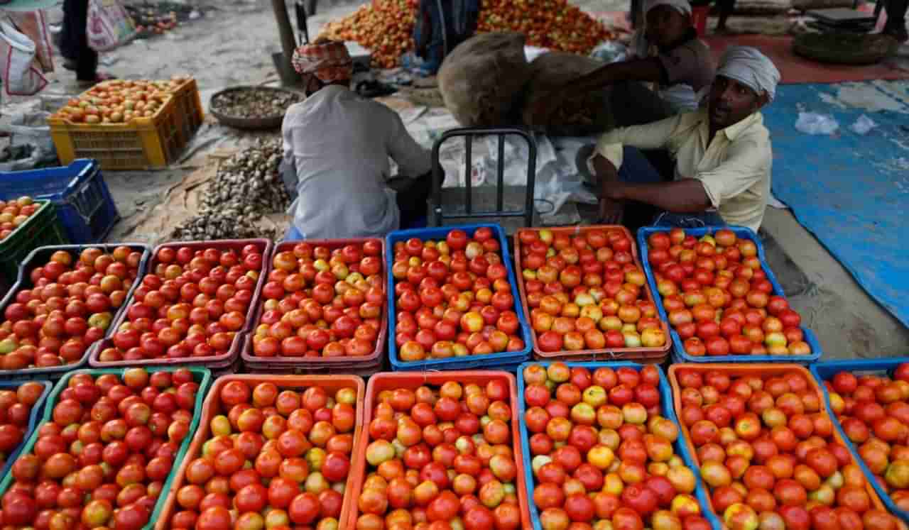 टोमॅटोचे भाव गगणाला भिडणार, पेट्रोलचे रेकॉर्ड ही मोडणार