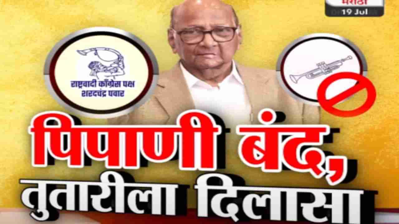 Tv9 मराठी स्पेशल रिपोर्ट : शरद पवार गटाला राज्य निवडणूक आयोगाकडून मोठा दिलासा, ती दोन चिन्ह गोठवली