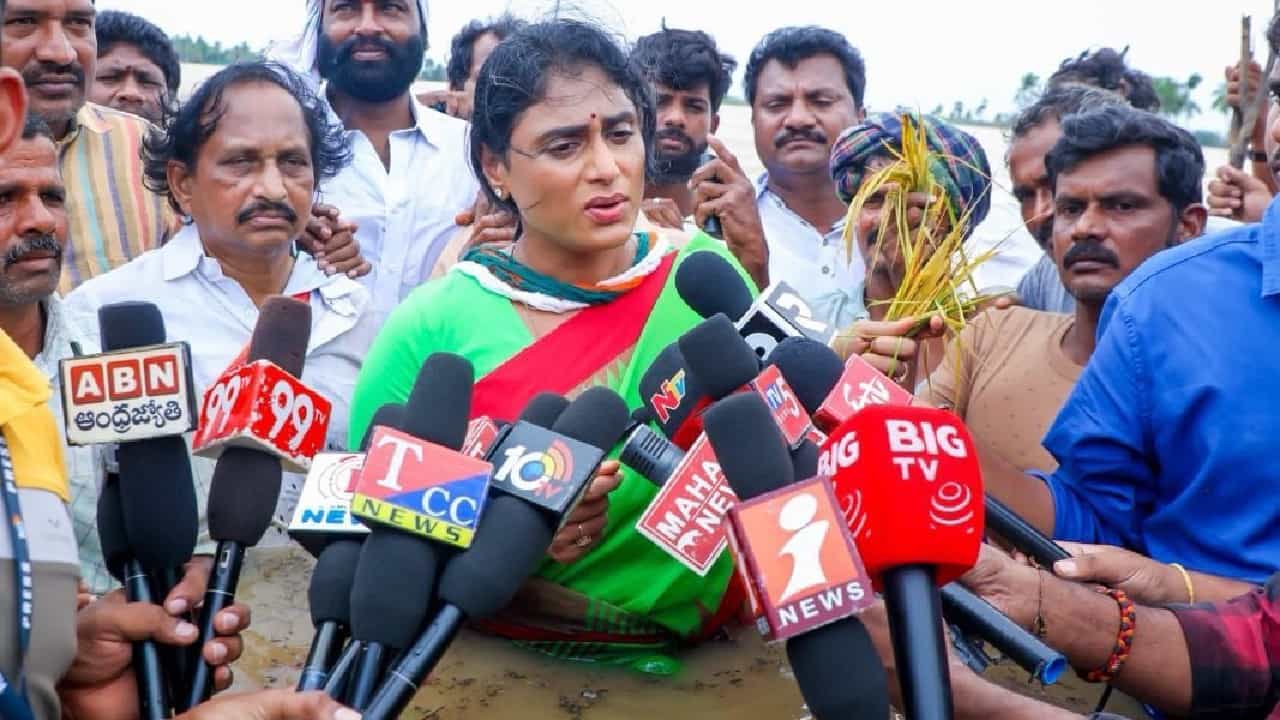 आंध्रात प्रदेश कॉंग्रेस अध्यक्ष वायएस शर्मिला यांनी पुरपरिस्थितीचा आढावा घेण्यासाठी आणि केंद्र सरकारचे लक्ष वेधण्यासाठी कंबरेपर्यंतच्या पाण्यात उतरुन पश्चिम गोदावरी जिल्ह्यातील ताडेपल्ली ग्रामीण मंडळातील नंदमुर गावात पुराने नष्ट झालेल्या शेतीची पाहणी केली.