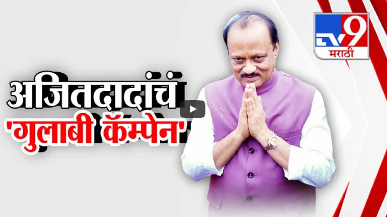 अजित पवारांची विशेष रणनिती, विधानसभेच्या पार्श्वभूमीवर दादांचं 'गुलाबी कॅम्पेन'? विरोधकांची हल्लाबोल