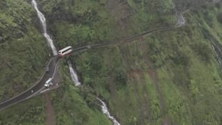 दबक्या पावलानं आला अन् काही कळण्याच्या आत त्याने कुत्र्याला… पाहा CCTV फुटेज