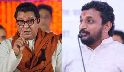 राज ठाकरेंना सुपारी बहाद्दर म्हटल्यानं मिटकरींच्या गाडीवर हल्ला, कार्यकर्त्यांवर गुन्हा दाखल