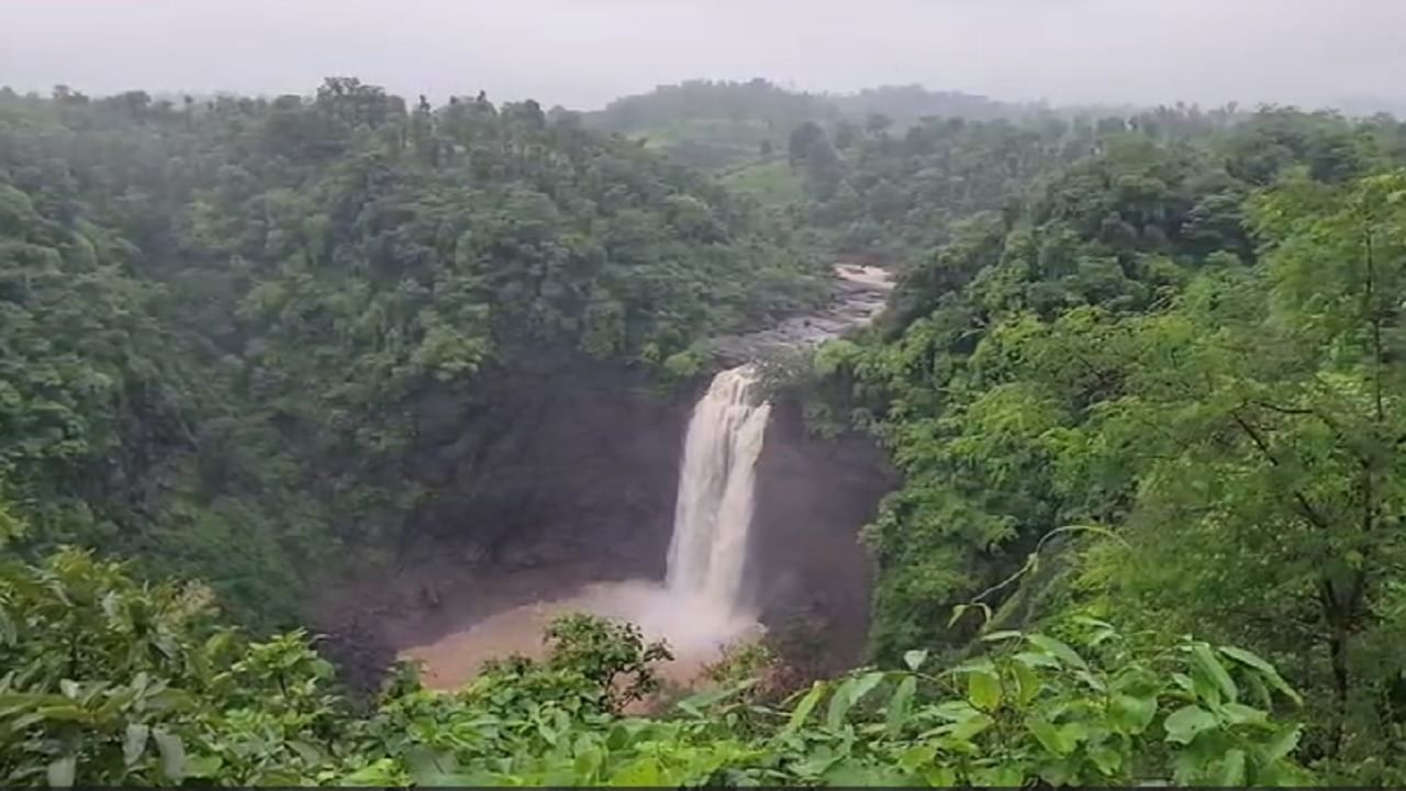 Dabhosa Waterfalls : हिरवागर्द परिसर अन् पांढराशुभ्र फेसाळणारा दाभोसा धबधबा पाहण्यासाठी पर्यटकांची झुंबड