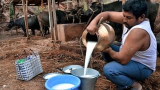 क्रिकेटपटूंचा प्रातांचा मुद्दा छेडत बड्या काँग्रेस नेत्याचा कोणाला टोला…