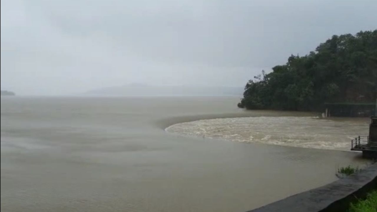 maharashtra rain update: पुण्यात रेड अलर्ट, पुणे, रायगड, ठाणे, सांगलीत शाळांनाही सुट्टी, राज्यातील या जिल्ह्यांमध्ये अतीमुसळधार कोसळणार, हवामान खात्याचे अपडेट जाणून घ्या maharashtra rain update: पुण्यात रेड अलर्ट, पुणे, रायगड, ठाणे, सांगलीत शाळांनाही सुट्टी, राज्यातील या जिल्ह्यांमध्ये अतीमुसळधार कोसळणार, हवामान खात्याचे अपडेट जाणून घ्या
