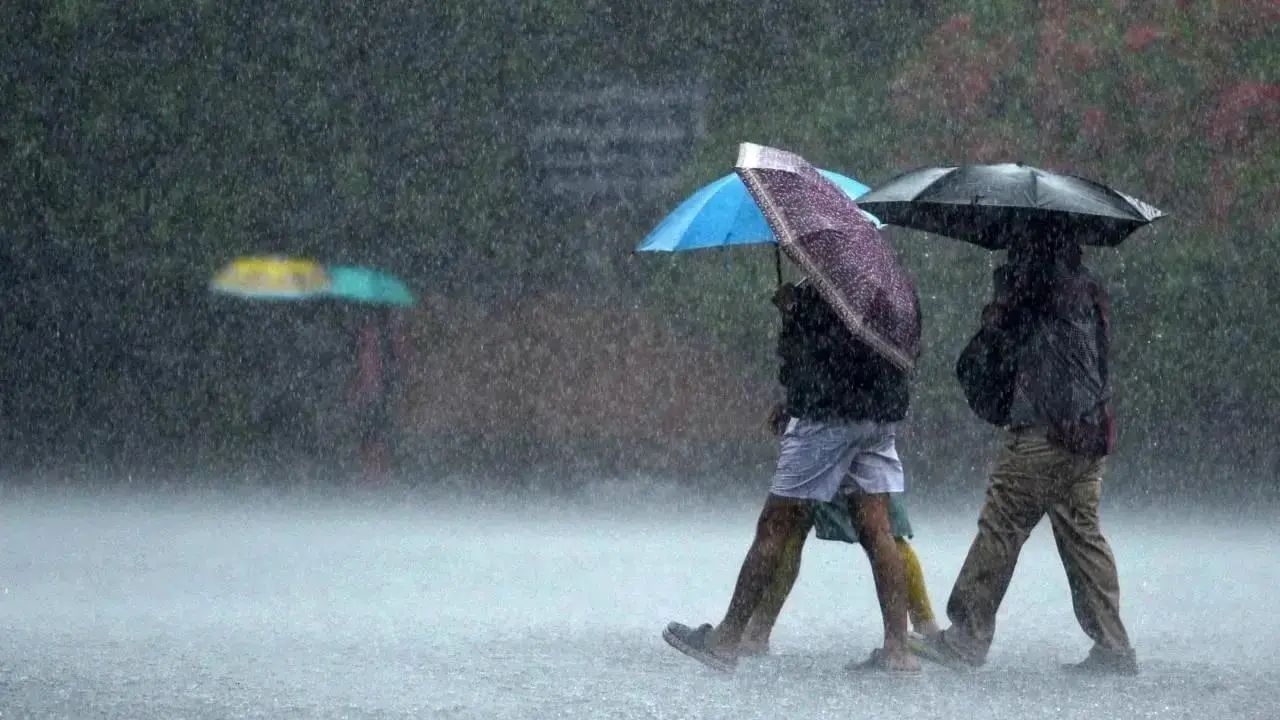 Maharashtra Weather Update : राज्यात रिमझिम, तुमच्या जिल्ह्यात कसा पाऊस? अलर्ट जारी; हवामान खात्याकडून मोठं अपडेट