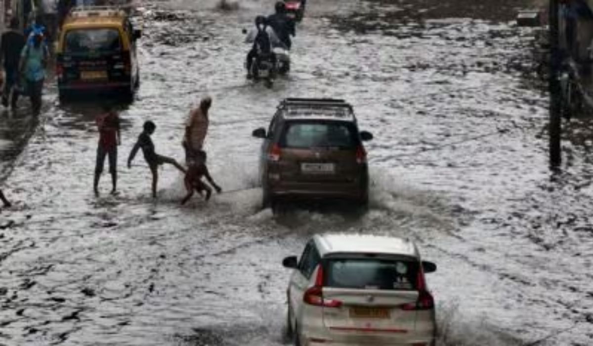 Maharashtra Weather Update : रत्नागिरीला रेड तर 'या' 11 जिल्ह्यांना IMD चा ऑरेंज अलर्ट, तुमच्या जिल्ह्यात कसा पाऊस?