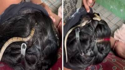 शांतपणे झोपली होती महिला, केसांमध्ये घुसला साप... व्हिडिओ पाहून थांबेल श्वास