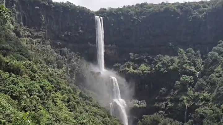 देशातील सर्वात उंच धबधबा साताऱ्यात, 'भांबवली-वजराई'चं मनमोहक सौंदर्य तुम्ही पाहिलंय का? देशातील सर्वात उंच धबधबा साताऱ्यात, 'भांबवली-वजराई'चं मनमोहक सौंदर्य तुम्ही पाहिलंय का?