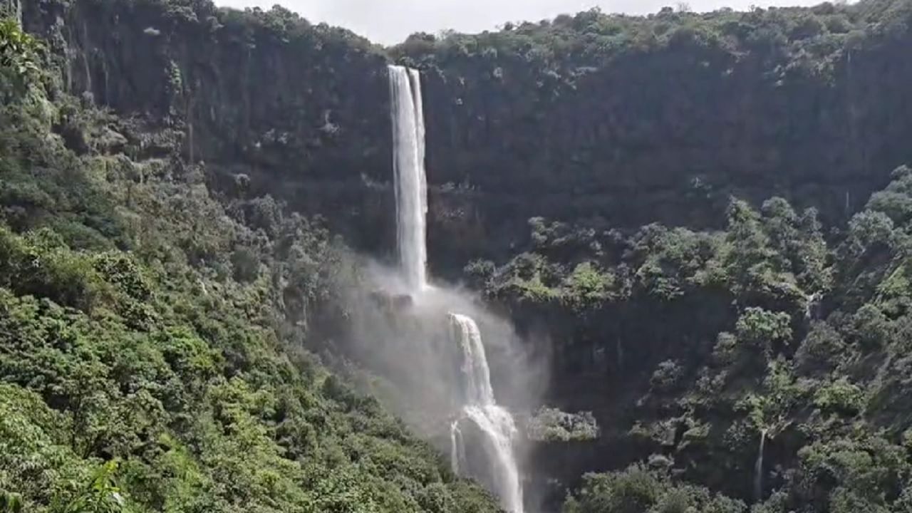 देशातील सर्वात उंच धबधबा साताऱ्यात, 'भांबवली-वजराई'चं मनमोहक सौंदर्य तुम्ही पाहिलंय का?