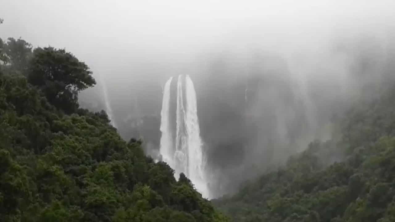 डोळ्यांचं पारणं फेडणारा कोयनेतील ओझर्डे धबधबा तुम्ही पाहिलाय का? नसेल तर एकदा हा व्हिडीओ बघाच