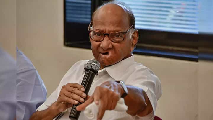 विधानसभेसाठी शरद पवारांची चाचपणी, 'या' 20 मतदारसंघाच्या जागा हेरल्या, तरुण उमेदवार मैदानात विधानसभेसाठी शरद पवारांची चाचपणी, 'या' 20 मतदारसंघाच्या जागा हेरल्या, तरुण उमेदवार मैदानात