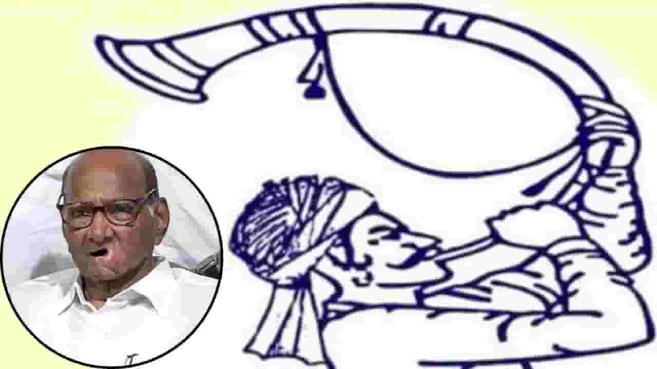 विधानसभा निवडणुकीच्या तोंडावर शरद पवारांना दिलासा, निवडणूक आयोगानं घेतला मोठा निर्णय