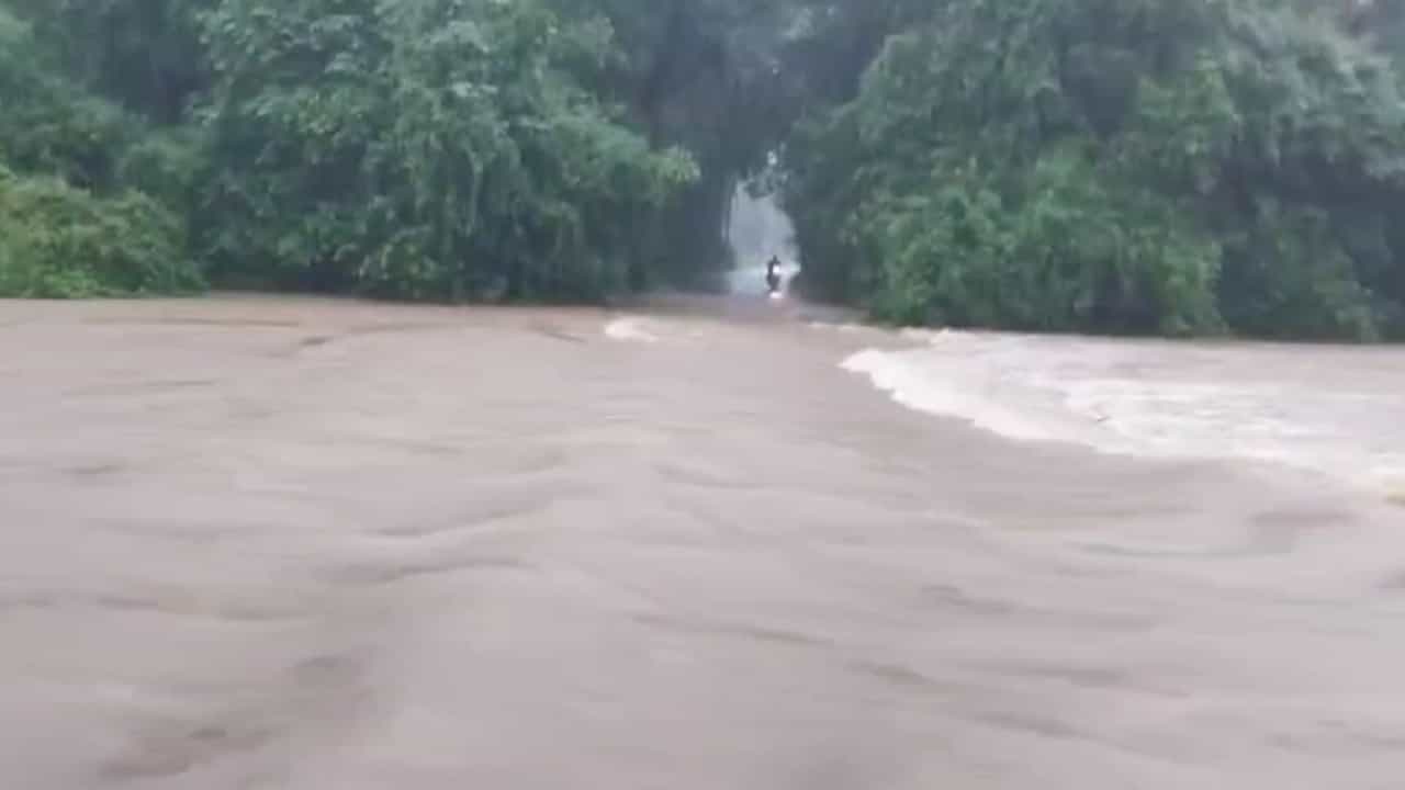 Kokan Rain Update : सिंधुदुर्गात तुफान पावसानं झोडपलं, वेंगुर्ल्यातील पूल पाण्याखाली अन्...