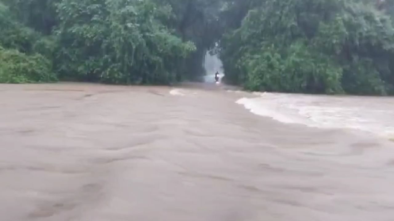 Kokan Rain Update : सिंधुदुर्गात तुफान पावसानं झोडपलं, वेंगुर्ल्यातील पूल पाण्याखाली अन्...