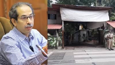 मातोश्रीच्या आवारात पुन्हा आढळला साप, परिसरात खळबळ