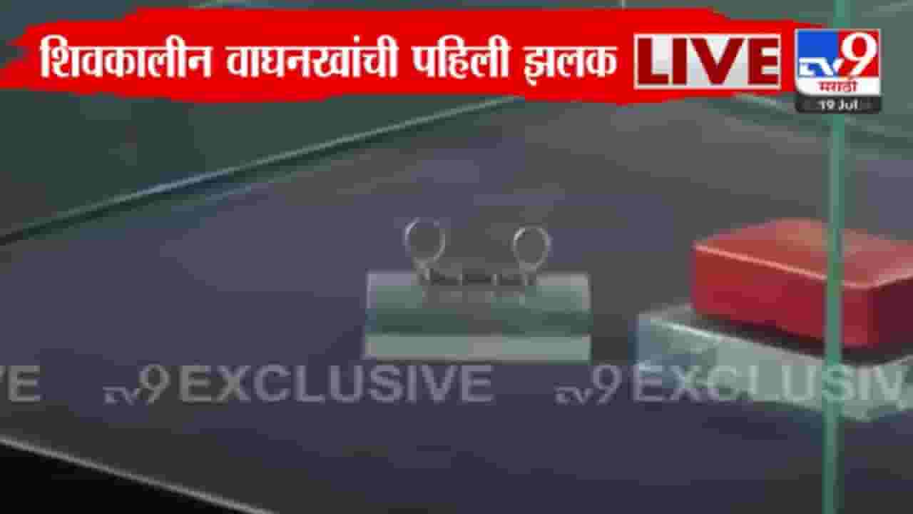 शिवप्रेमींसाठी आनंदाची बातमी, शिवकालीन वाघनखं साताऱ्यात; बघा पहिली-वहिली झलक