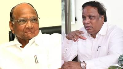 आरक्षणावर बोलताना आशिष शेलारांचं पवार-ठाकरेंना आवाहन; म्हणाले साहेबांचं मौन...