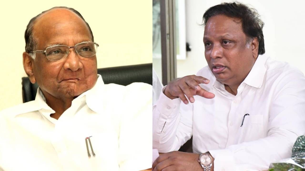 आरक्षणावर बोलताना आशिष शेलारांचं पवार-ठाकरेंना आवाहन; म्हणाले साहेबांचं मौन...