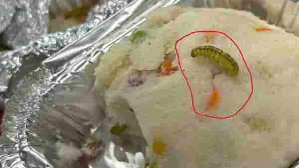 लग्झरी गाडी असलेल्या वंदे भारत एक्स्प्रेसमध्ये जेवणात कीडे, यापूर्वी निघाले होते झुरळ