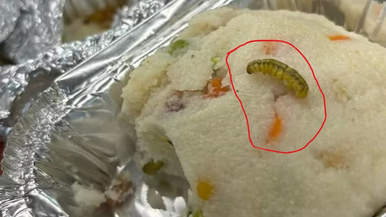 लग्झरी गाडी असलेल्या वंदे भारत एक्स्प्रेसमध्ये जेवणात कीडे, यापूर्वी निघाले होते झुरळ