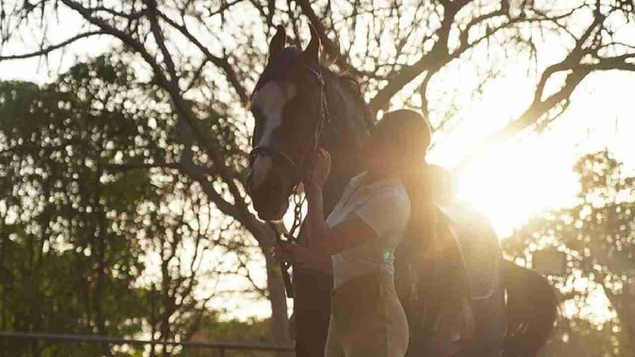 ही एकमेव बॉलिवूड अभिनेत्री प्रायव्हेट आयलँडची मालकीण; 8 वर्षांत हिट सिनेमा नाही तरी दीपिका, प्रियांका, आलिया, कतरिनाला टाकलं मागे