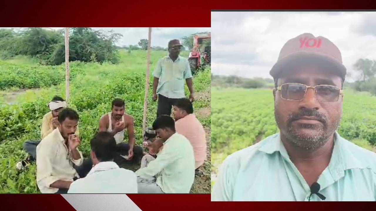 Tea on Farm : गरमा गरम चहा मिळवा शेतात; बांधावरच्या चहाची राज्यभर चर्चा, या चहावाल्याची भन्नाट आयडिया, डॉली चहावाल्याला विसरुन जाल