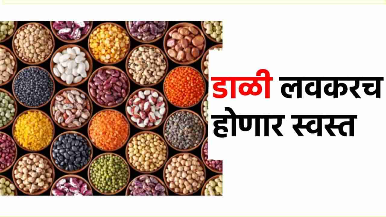 Pulses Price : आली स्वस्ताई; डाळीच्या किंमती होणार कमी, काय आहेत संकेत