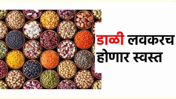 Pulses Price : आली स्वस्ताई; डाळीच्या किंमती होणार कमी, काय आहेत संकेत