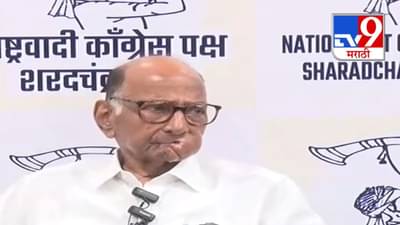 तीन पक्षांसोबत या पक्षांनीही मविआसोबत यावे...विधानसभा निवडणुकीसाठी शरद पवार यांनी उघडले पत्ते