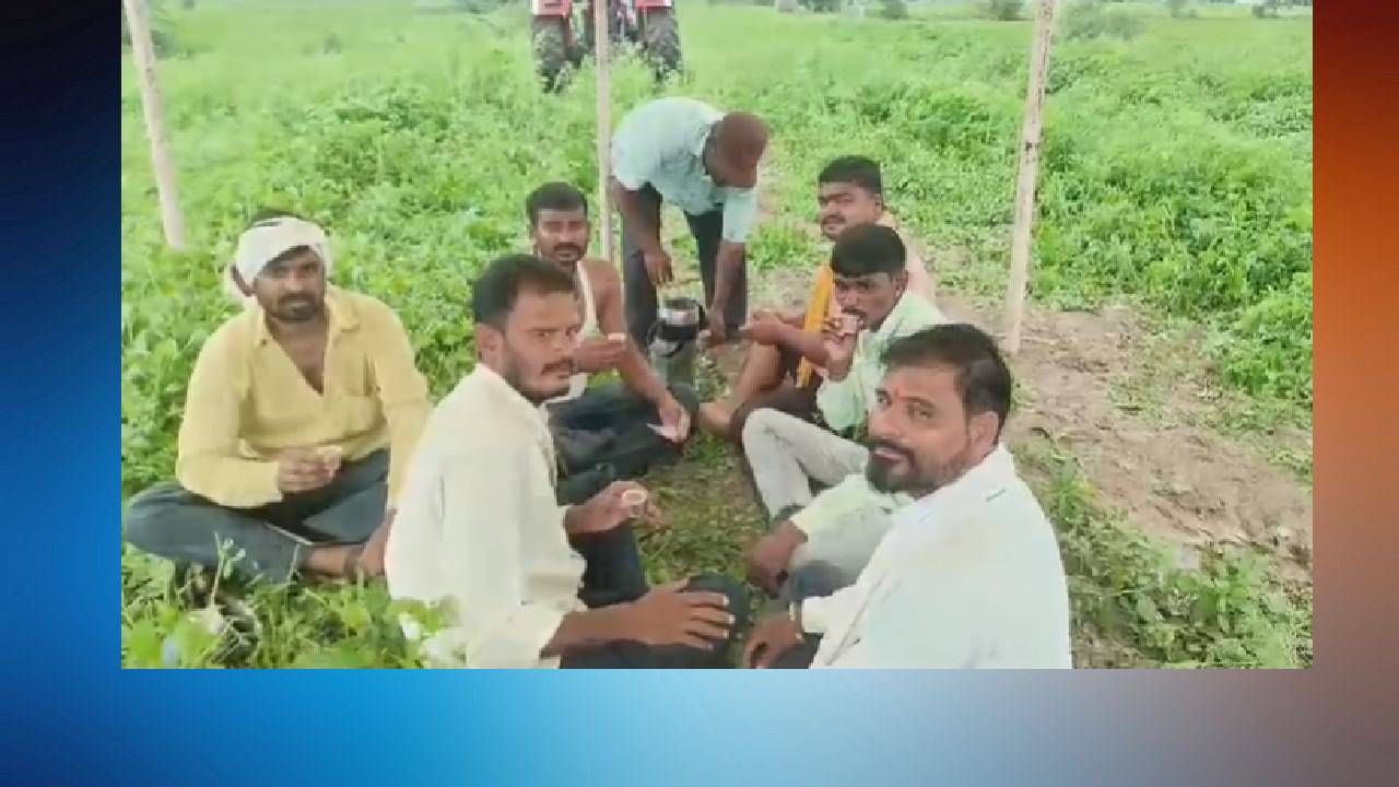 डॉली चहावाला गाजत असताना आता धाराशिव जिल्ह्यातील तेर येथील या चहावाल्याची चर्चा रंगली आहे. हा चहावाला शेतात जाऊन शेतकऱ्यांना, मजूरांना चहा देतो. 