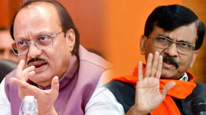 'ढेकूण आणि सरडा म्हणून...', संजय राऊत यांच्या 'त्या' टीकेवर अजित पवारांचं प्रत्युत्तर 'ढेकूण आणि सरडा म्हणून...', संजय राऊत यांच्या 'त्या' टीकेवर अजित पवारांचं प्रत्युत्तर