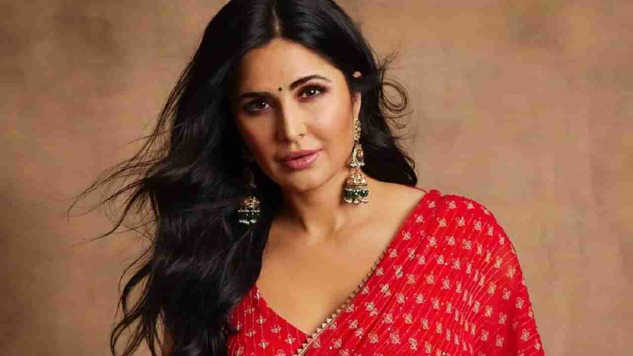 Katrina Kaif चं मोठं वक्तव्य; म्हणाली, घरी बसेल आणि मुलांचा...