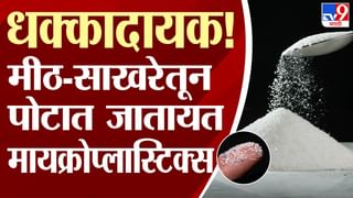 ‘नौदलाने 30 फुटांचा पुतळा सांगितला याची कल्पना नव्हती, आम्ही तर…’, सरकारी अधिकाऱ्याच्या दाव्यानं खळबळ