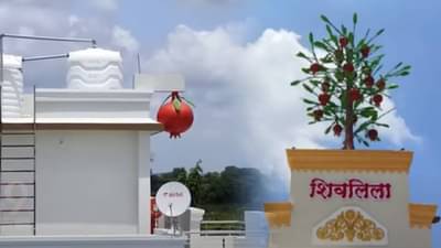 बळीराजाची कमाल, वर्षाला ‘इतक्या’ लाखांची कमाई थेट बंगल्यावरच साकारलं डाळिंबांचं झाडं