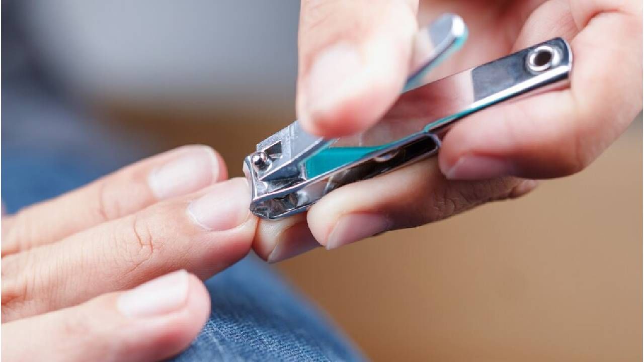 दात घासणे, आंघोळ करणे आणि नखे कापणे ही आपल्या दैनंदिन जीवनातील महत्त्वाची कामे आहेत. त्याचप्रमाणे नखे स्वच्छ ठेवणे अत्यंत आवश्यक आहे कारण नखांच्या माध्यमातूनच जंतू थेट तोंडातून आपल्या पोटात जाऊ शकतात. यामुळे अनेक समस्या निर्माण होतात. कधीकधी ते अनेक रोगांसाठी कारणीभूत ठरते.