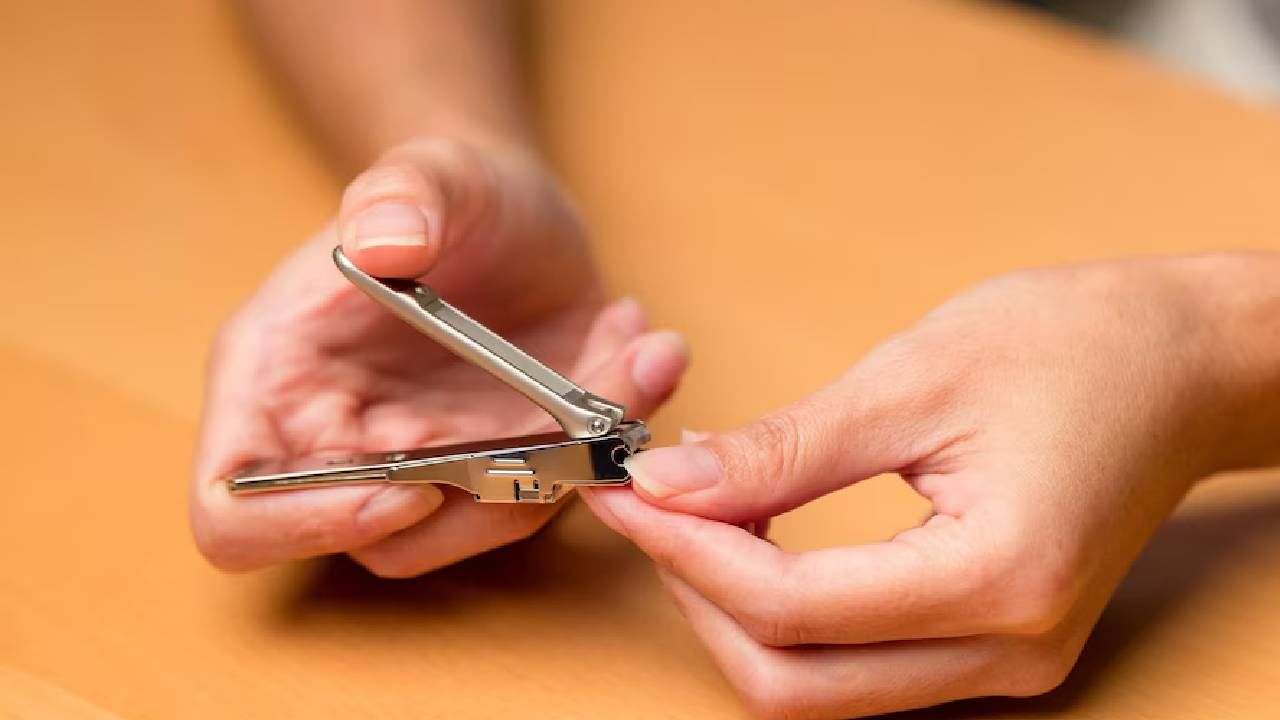 नखे कापण्यासाठी आपण नेल कटर वापरतो. पण, नेल कटरमध्ये चाकूसारखे दोन ब्लेड असतात. पण ती कशासाठी असतात याचं उत्तर आपल्यापैकी बहुतेकांना माहीत नसेल. यामागील एक महत्त्वाचे कारण जाणून तुम्ही थक्क व्हाल.