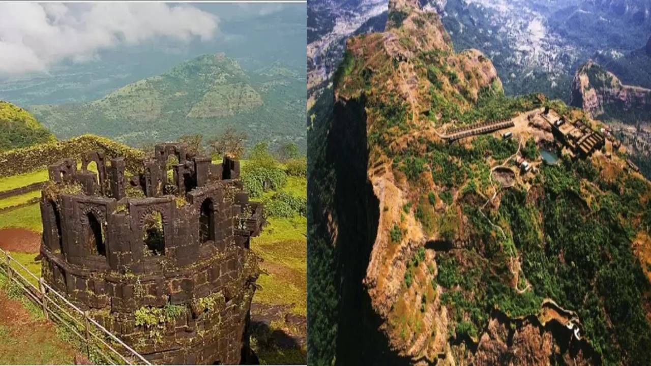  रायगड -  रायगड किल्ला शिवाजी महाराजांच्या महत्त्वाच्या किल्ल्यांपैकी एक आहे. शिवाजी महाराजांच्या काळात रायगड ही राजधानी होती. महाडच्या डोंगरावर हा किल्ला आहे. शिवाजी महाराजांचा राज्याभिषेकही रायगडावरच झाला होता. यावरून या किल्ल्याचं महत्त्व अधोरेखित होतं. या किल्ल्यावर जाण्यासाठी 1737 पायऱ्या चढाव्या लागतात. तुम्ही रोपवेची मदत घेऊन जाऊ शकता. त्यामुळे अवघ्या 20 मिनिटात किल्ल्यावर पोहोचता येते. 